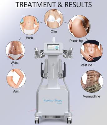 China 2 In 1 6D EMS Body Sculpting Machine Weight Loss Lipolaser Slimming Beauty Machine for sale