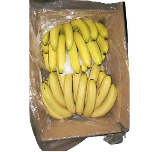 Quality Vegetable Clear Carton Liner Bags Polyethylene Poly Liner Bags With Holes for sale