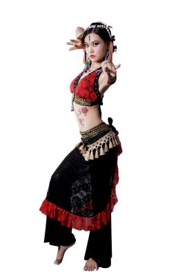 China Handmade Soft Lace Tribal Belly Dance Costumes Sexiest Belly Dancing Costumes for sale