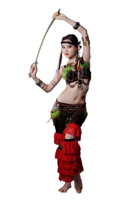 Китай Сексуальные красивейшие соплеменные одежды танцульки живота, костюмы танцоров живота для тренировки продается