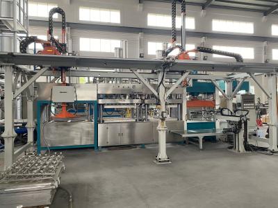 China 270kgs/h Virgin Pulp Plate Making Machine Pulp Tray Making Equipment for sale