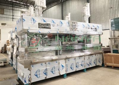 China Máquina de moldear de la bandeja del papel de 8 toneladas/día en venta