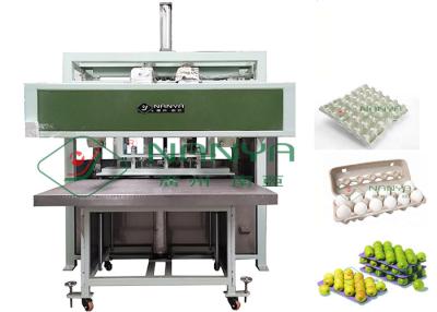 China Auto Reciprocating Egg Tray / Pulp Molding Egg Carton Machine 1000pcs/H for sale