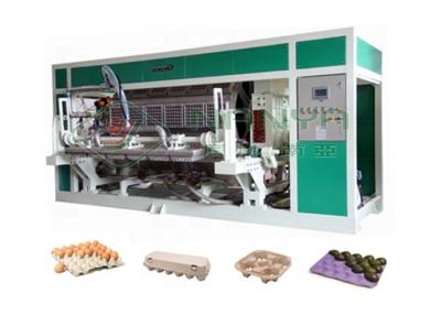 China 6000 pcs/hr Automatic Rotary Egg Tray / Egg Box Molding Equipment for sale