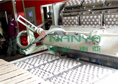 China Recycle Paper Fruit Tray Strawberry Tray Egg Tray Making Machine for sale