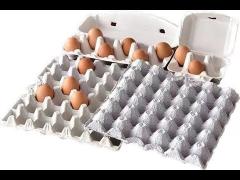 Semi-automatic Egg Tray Machine