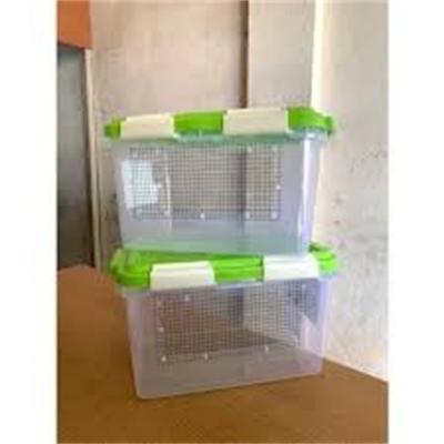 China Little Pet Transport High Quality Solid PETG Box Mini Portable Takeout Hamster Cage for sale
