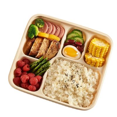 China Custom PLA Disposable Divided Container 3 / 4 / 5 / 6 Compartment for sale