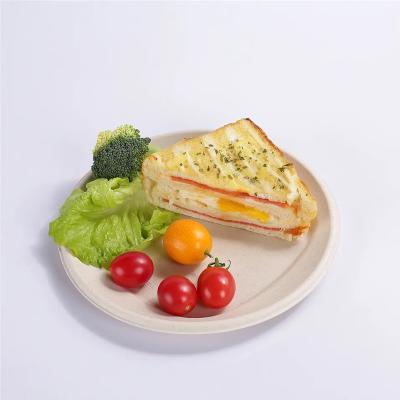 China Plant Starch PLA Compostable Disposable Tray Plate Biodegradable for sale