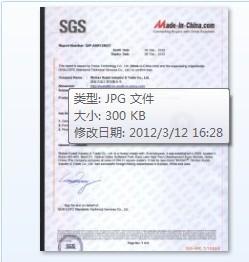 SGS certificate - Wuhan Visbull Machinery Co., Ltd.