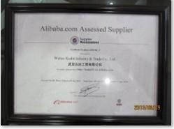BV certificate - Wuhan Visbull Machinery Co., Ltd.
