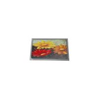 Китай Оригинальный 7,0 дюймовый AM-800480RSTMQW-TB4H 60Hz LCD PCAP Screen LCD панель продается