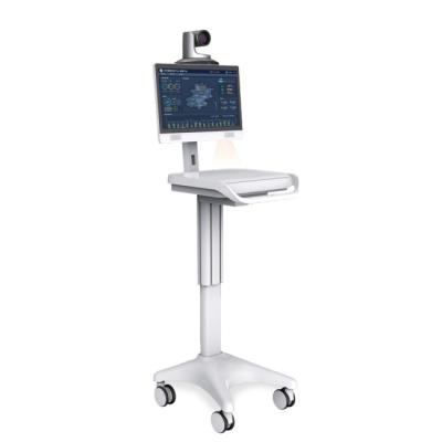 China Single Screen Medical Mobile Workstation Class I 1920x1080 iPS for sale