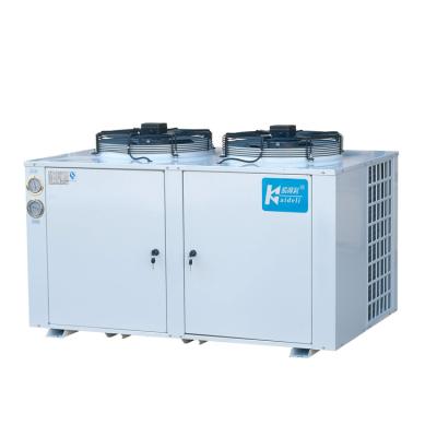 China Low Temp Cold Storage Refrigeration Units Chiller Fit R22 Refrigerant for sale