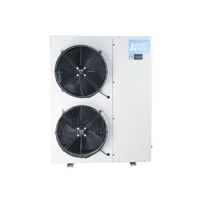 Cina Refrigeratore di condensazione dell'unità della cella frigorifera di 3HP 4HP 5HP per conservazione frigorifera in vendita