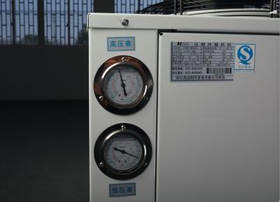 China Copeland Freezer Room Condensing Unit Compressor 404a Refrigerant for sale