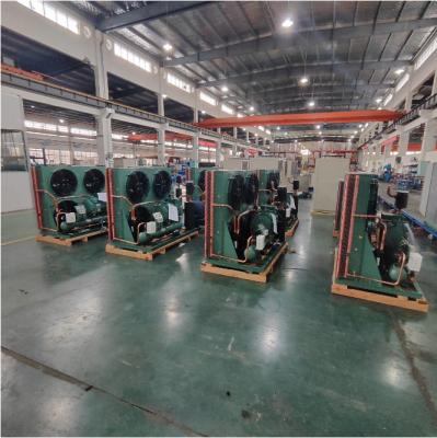 China Open Type Condensing Unit Equipment For Hotels Building Material Shops for sale