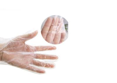 China Das luvas cirúrgicas da mão do ODM do OEM látex transparente biodegradável da borracha natural  à venda