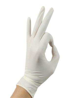 China Ambidextrous Clear Food Service Gloves Prevent Roll Back High Softness for sale