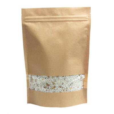 China Food Storage Snach Bag Packaging Zipper Paper Bag For Pepitas / Pine Nut Packaging for sale