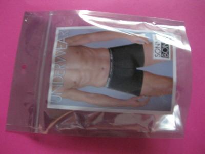 China Plastic Tribune op van het de Drukkledingstuk van de Ritssluitingsdouane de Verpakkende Zak voor Underware Te koop
