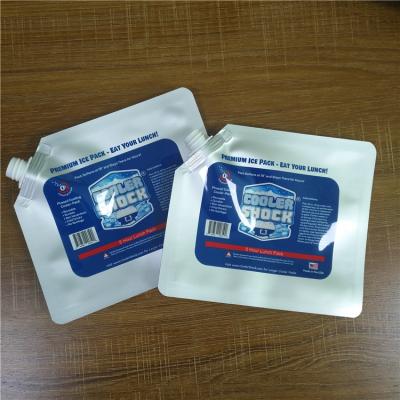 China La aduana del almacenamiento de la comida imprimió las bolsas de plástico impermeabiliza las bolsas de hielo reutilizables del refrigerador con el canalón/el casquillo en venta