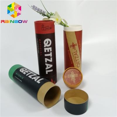 China Kraft Paper Push Up Cardboard Tube Pharmaceutical Blister Packaging Offset Printing for sale