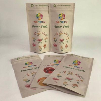 China Custom Pirnted Biodegradable Bags Eco-friendly Bags Kraft Paper  PLA Bags for sale