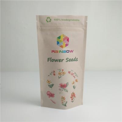 China Food Kraft Compostable Heat Seal Bags Eco Friendly Digital Printing Custom Logo Packaging for sale
