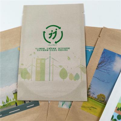 China VMPET 1.2C PA 1.5C Kraft Paper Bag Biodegradable Sachet Paper Bags for sale