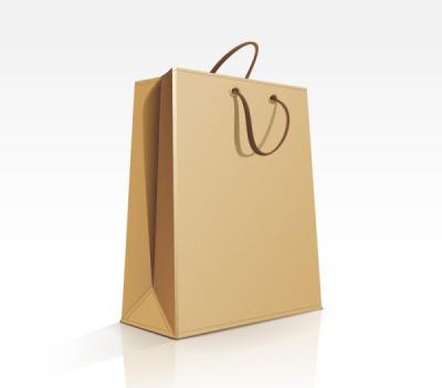 China Garment 150 Gram Customized Paper Bags , Kraft Paper Shopping Paper Bag for sale