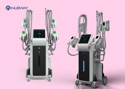 China 4 Cryo Handles Fat Removal Machine / Cool Sculpture Fat Freeze Machine for sale