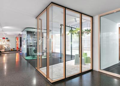 China Commercial Aluminum Glass Office Partitions Acoustic Double Partition Door Panel for sale