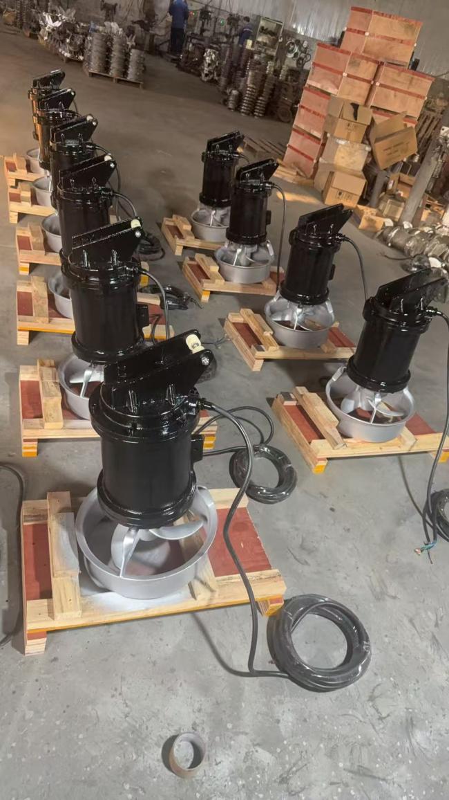 Protection Grade Classification IP68 Protection Grade Submersible Mixer Pump Cast Iron SS Build and ...