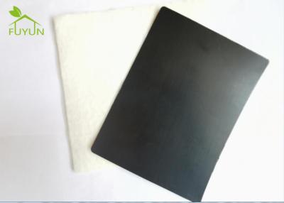 China 500g/M2 0.8mm High Density Polyethylene Pond Liner HDPE Plastic Geomembrane for sale