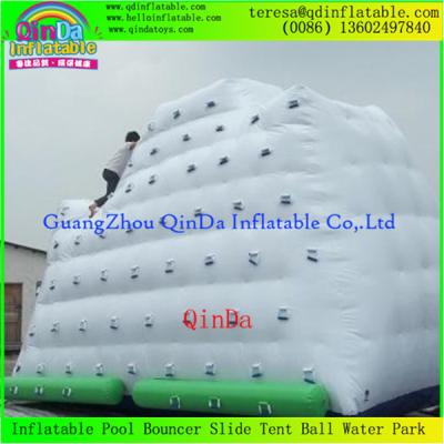 China Best Quality Low Price Enjoy Water Games Inflatable Iceberg Inflatable Floating Climb Wall for sale