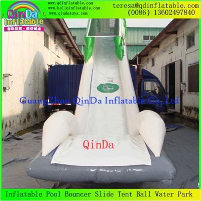 China Enjoy Giant Inflatable Water Slide For Adult, Inflatable Toy, Adults Inflatable Slide for sale