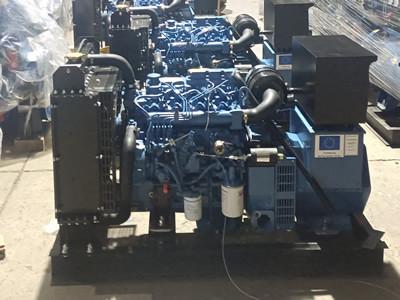 China 24 KW Diesel Generator Sets Custom Color Cummins Commercial Generator for sale