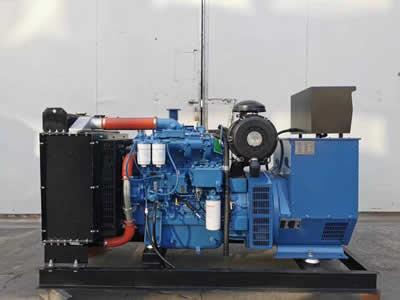 China Generador espera casero diesel de 300 del kilovatio sistemas de generador con el regulador de alta mar en venta