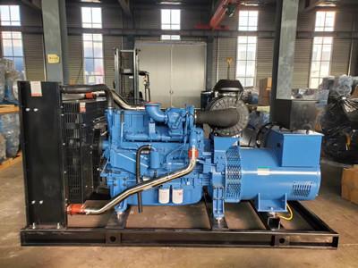 Cina 180 chilowatt Perkins Generator Quick Repair Perkins eccellente un generatore di 3 fasi in vendita