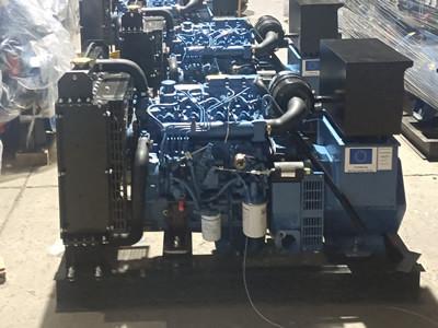 China Manual diesel azul de la operación del sistema de generador de YUCHAI 20KW de poco ruido en venta