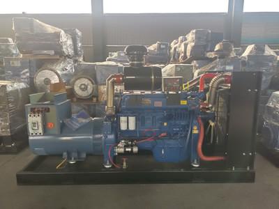 Cina Un piccolo generatore diesel di 180 chilowatt un generatore diesel silenzioso da 225 KVA in vendita