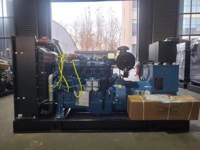 China 50 KW WeiChai Open Diesel Generator Set Quick Startup Low Fuel Consumption for sale