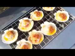 Commercial Smokeless BBQ Grills for Grilling Scallops