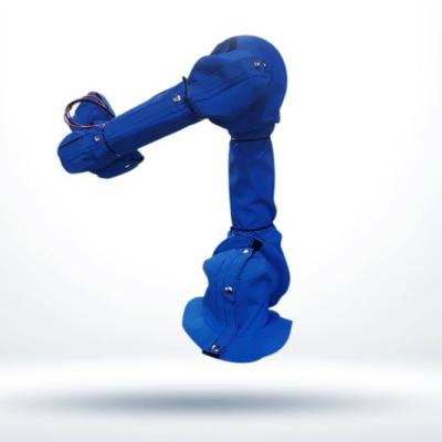China Selección de los trajes protectores de Roboworld y brazo del lugar, brazo robótico impermeable del azul en venta