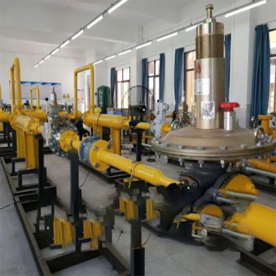 China Chinese Integrated Equipment Duplex Liquid Fuel Boost Pump Skid Combined With FISH-ER DVC 6200 Controller for sale
