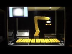 Fanuc  Robot Arm Model LRMate-200iD Controlled  Axes 6 With  Onrobot  RG2 Gripper With Guide