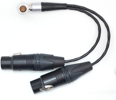 Chine Straight Input Camera Audio Cable 10 Pin To XLR 3 Pin Female ODM à vendre
