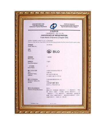 CUSTOMS CERTIFICATE - Jiangsu QIangli Machinery Co.,Ltd