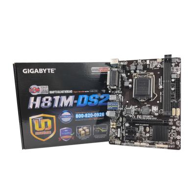 China Gigabyte H81M DS2 LGA 1150 Intel PC-Motherboard 16 GB SATA SATA III SATA II zu verkaufen
